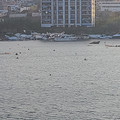 1699139751446.jpg
